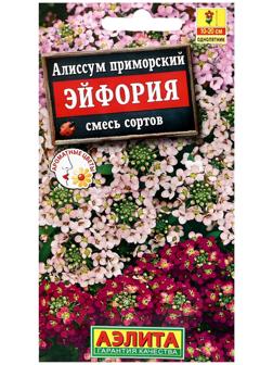 Семена цветов Алиссум 