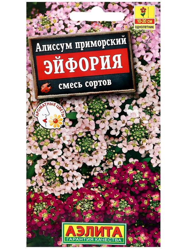 Семена цветов Алиссум 