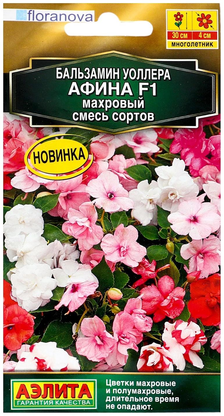 Семена цветов Бальзамин 