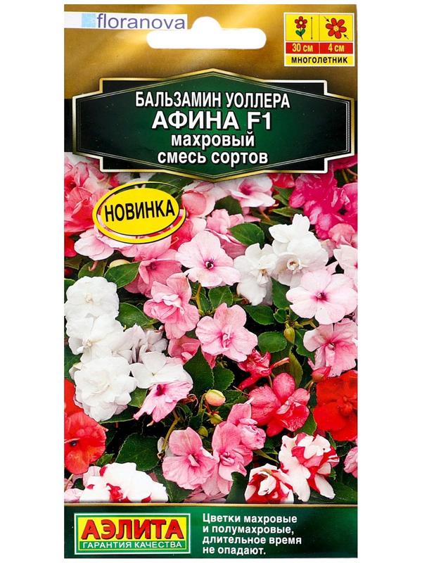 Семена цветов Бальзамин 