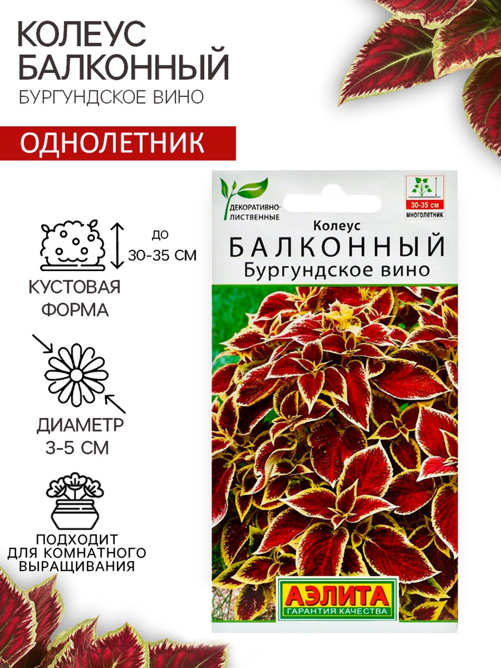 Семена цветов Колеус балконный 