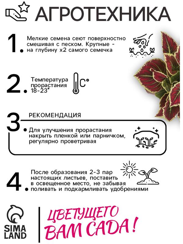 Семена цветов Колеус балконный 