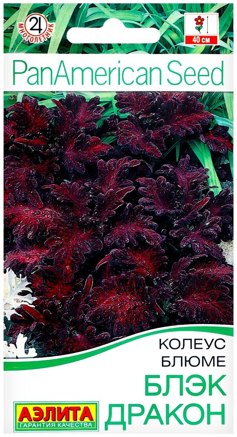 Семена цветов Колеус блюме 