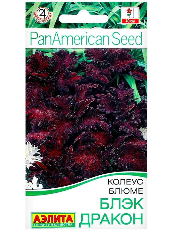 Семена цветов Колеус блюме 