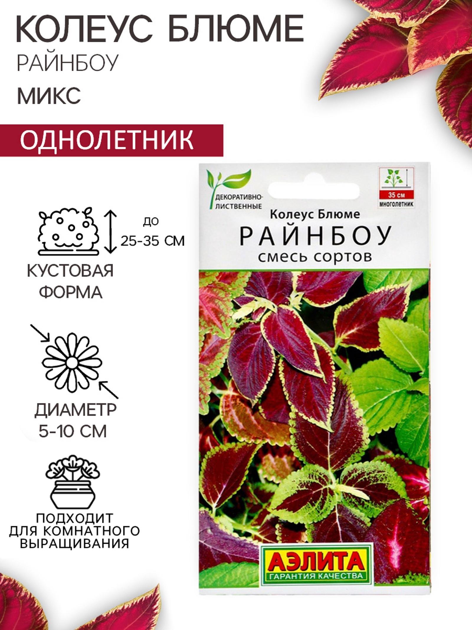 Семена цветов Колеус блюме 