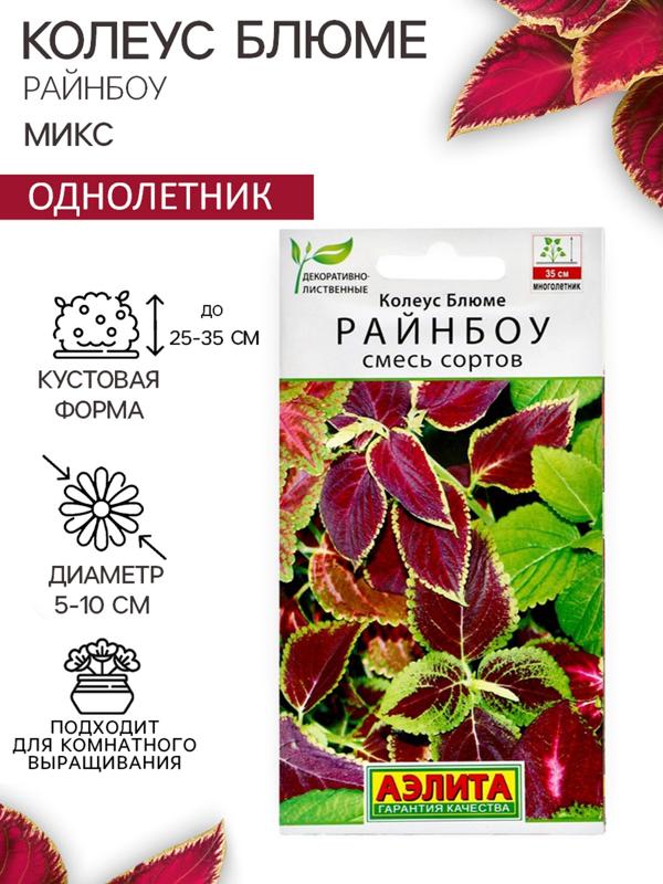 Семена цветов Колеус блюме 