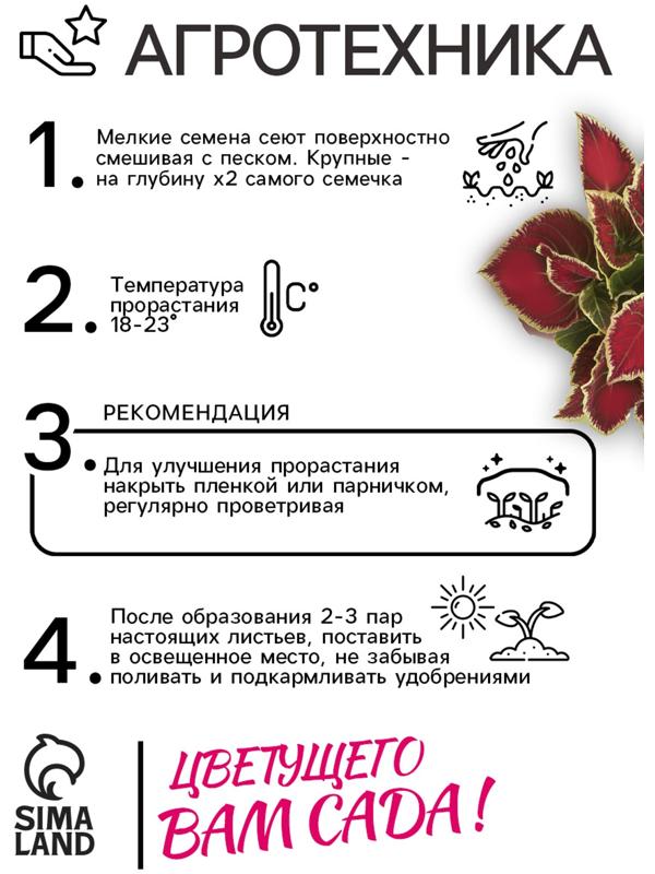 Семена цветов Колеус блюме 