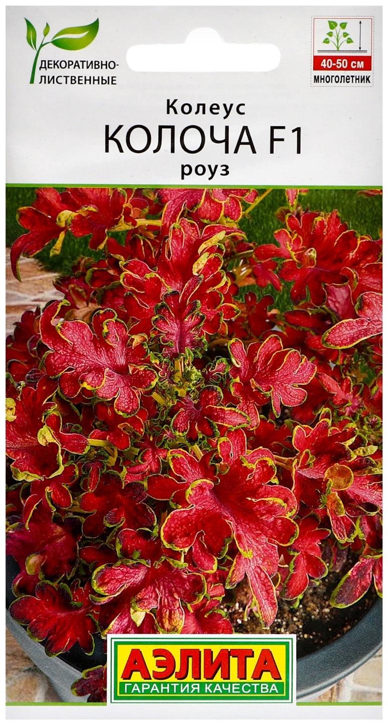 Семена цветов Колеус 