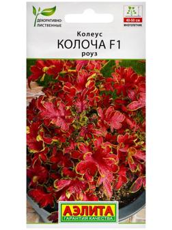 Семена цветов Колеус 