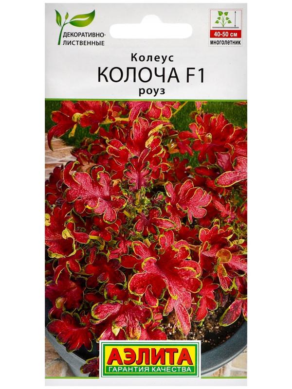 Семена цветов Колеус 