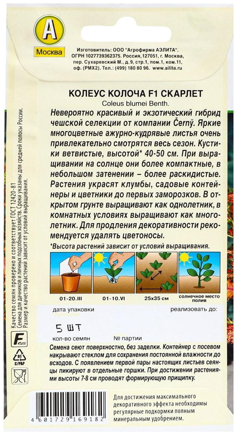 Семена цветов Колеус 