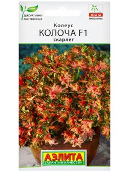 Семена цветов Колеус 