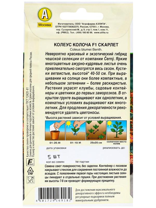 Семена цветов Колеус 