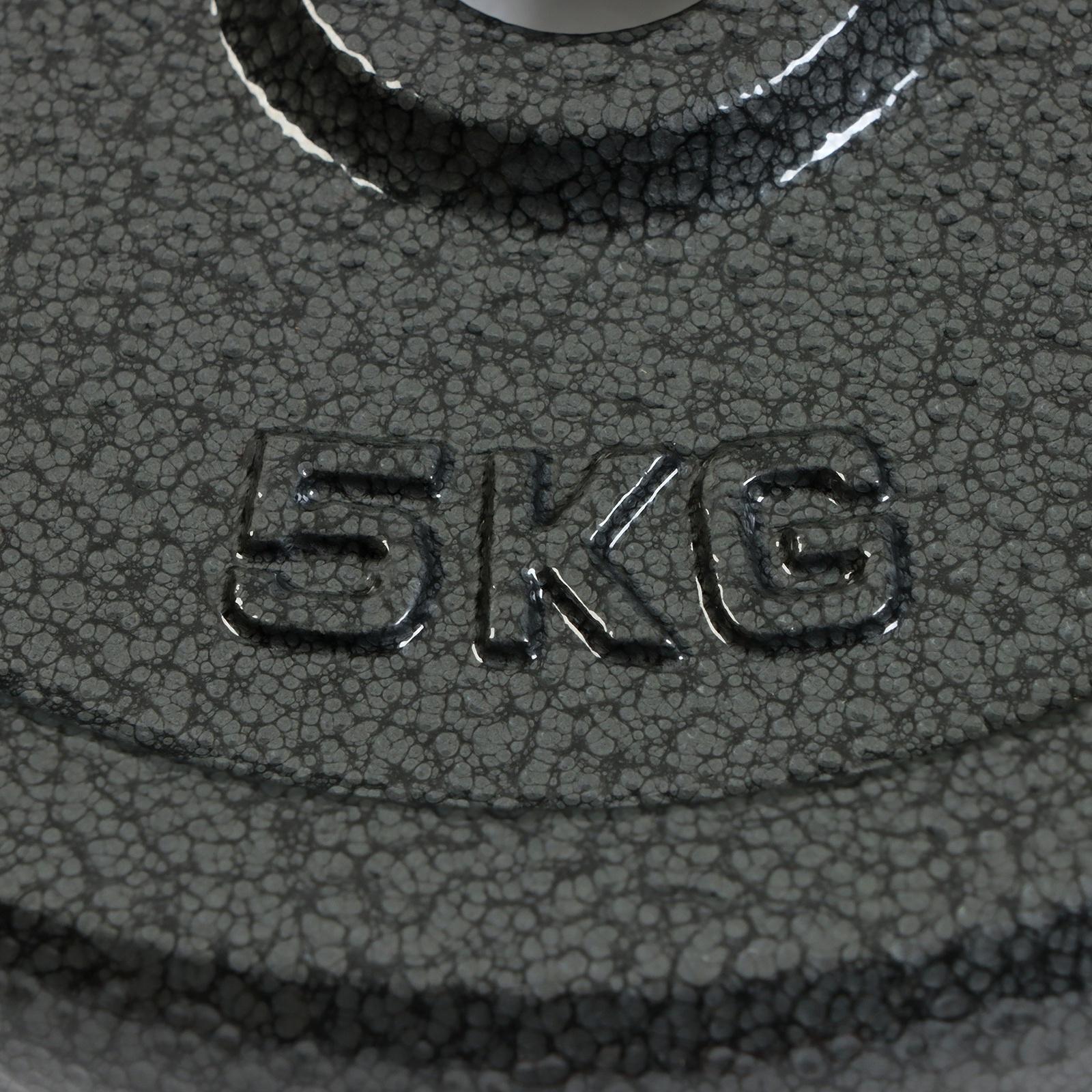 Диск 5 кг, d=29 мм