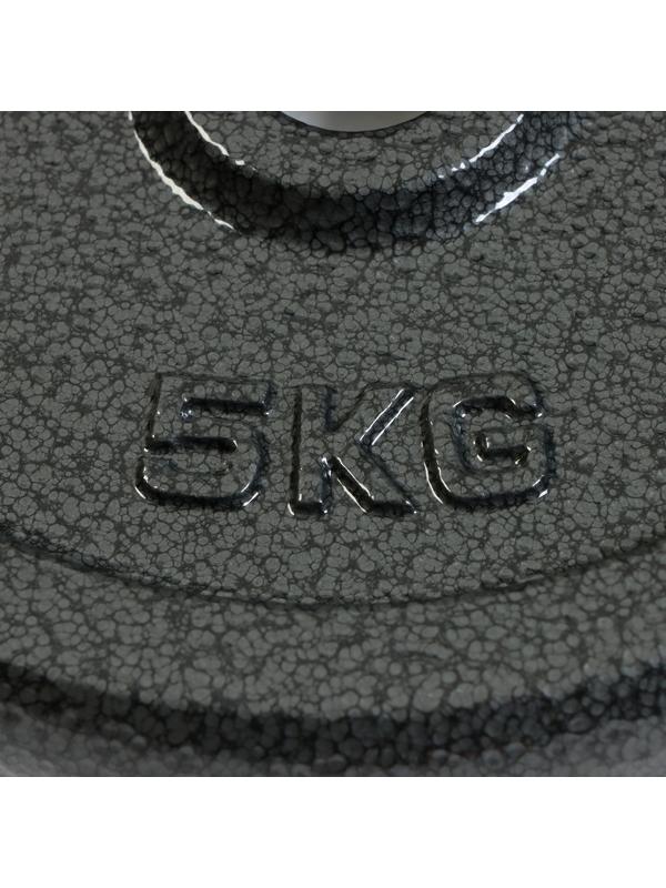 Диск 5 кг, d=29 мм