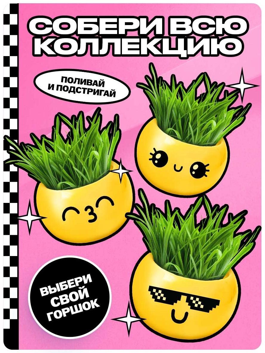 Набор для опытов, для детей «Выращиваем травку», растение в горшочке - эмодзи «Поцелуйчик»
