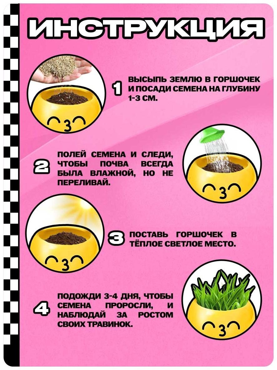 Набор для опытов, для детей «Выращиваем травку», растение в горшочке - эмодзи «Поцелуйчик»