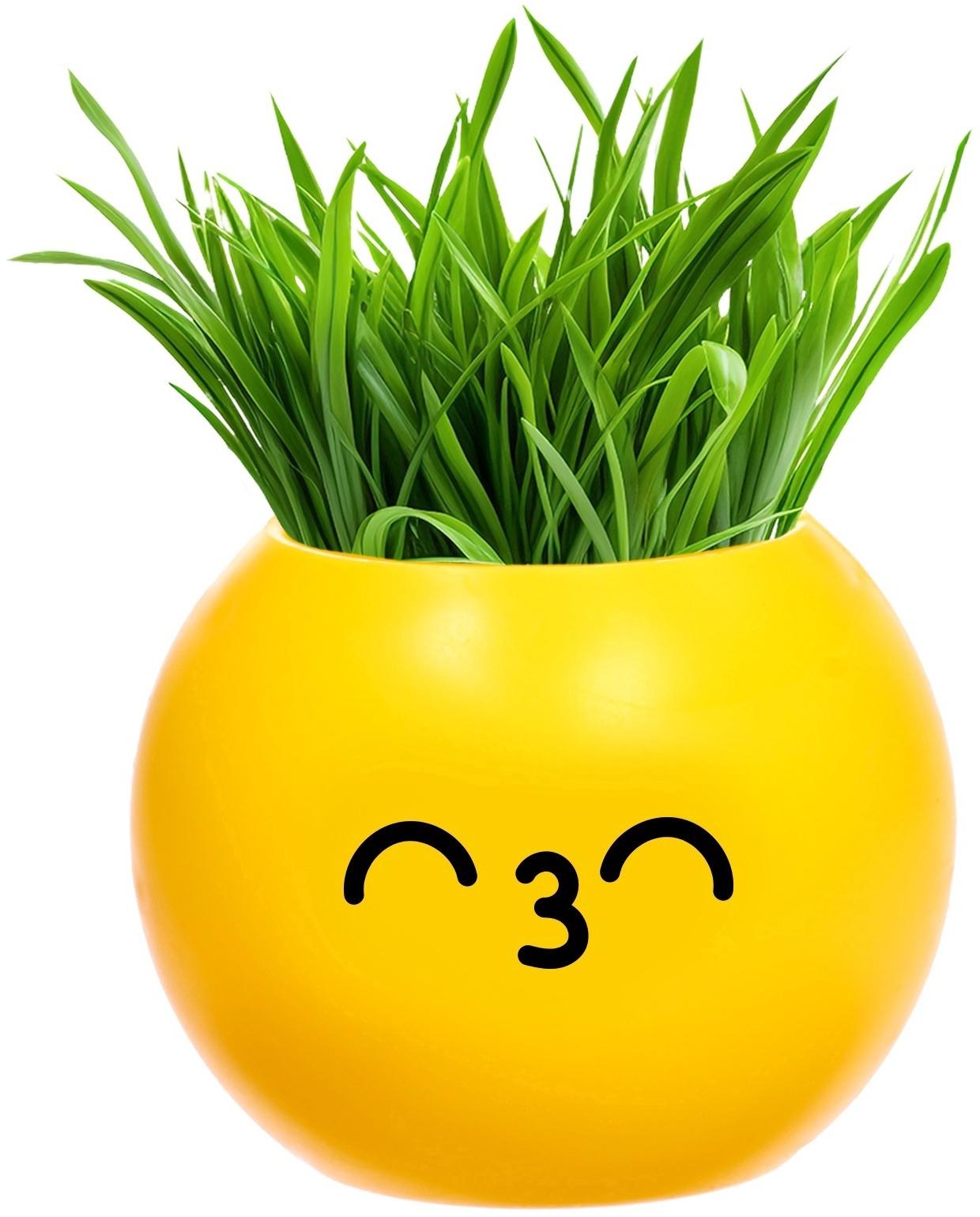 Набор для опытов, для детей «Выращиваем травку», растение в горшочке - эмодзи «Поцелуйчик»