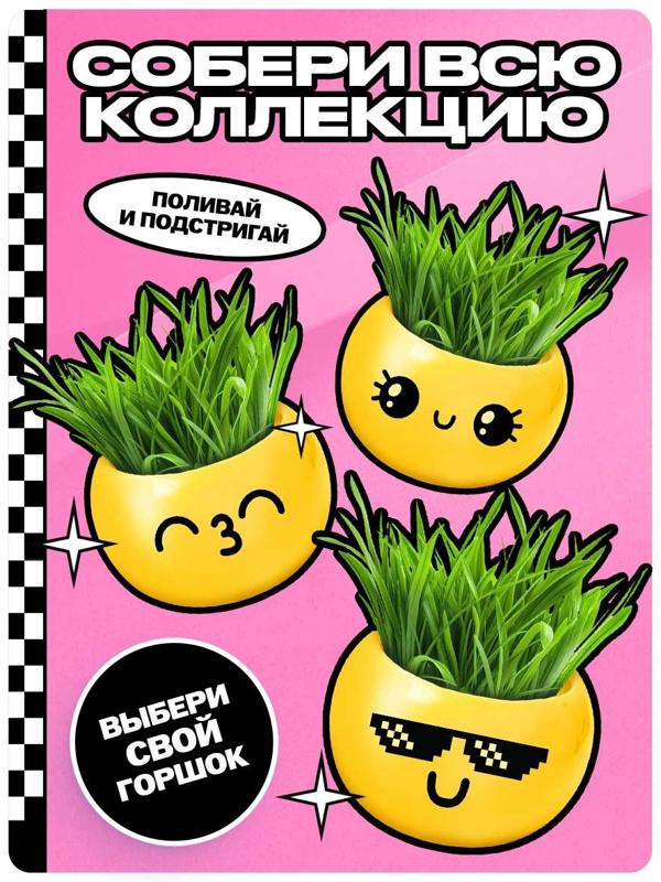 Набор для опытов, для детей «Выращиваем травку», растение в горшочке - эмодзи «Поцелуйчик»