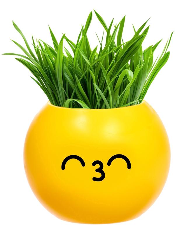 Набор для опытов, для детей «Выращиваем травку», растение в горшочке - эмодзи «Поцелуйчик»