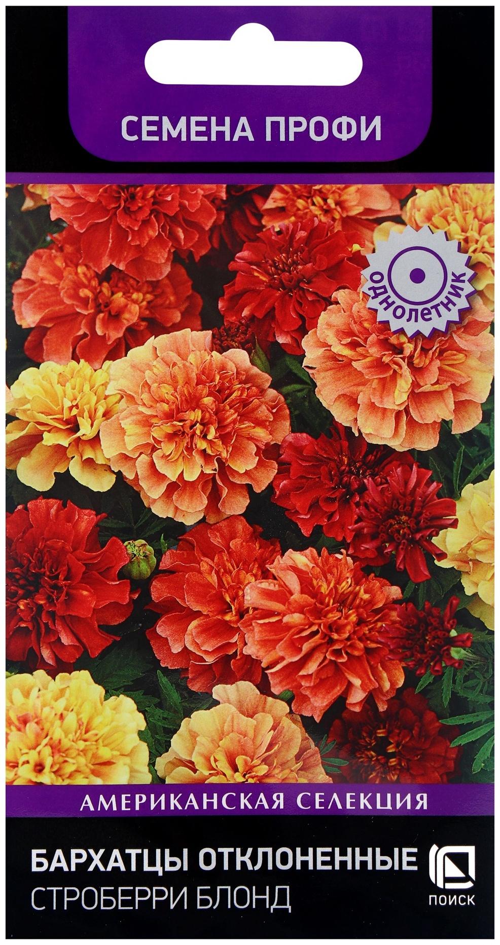Семена цветов Бархатцы отклоненные Строберри Блонд, 10шт