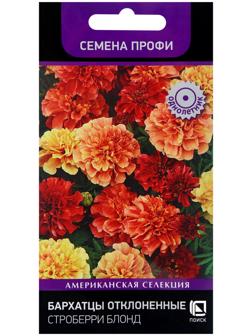 Семена цветов Бархатцы отклоненные Строберри Блонд, 10шт