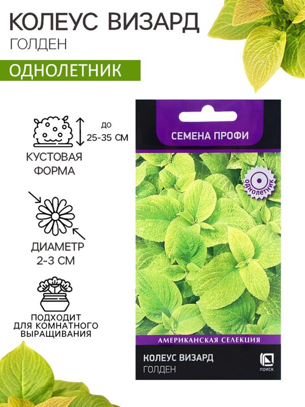 Семена цветов Колеус Визард Голден, 10шт