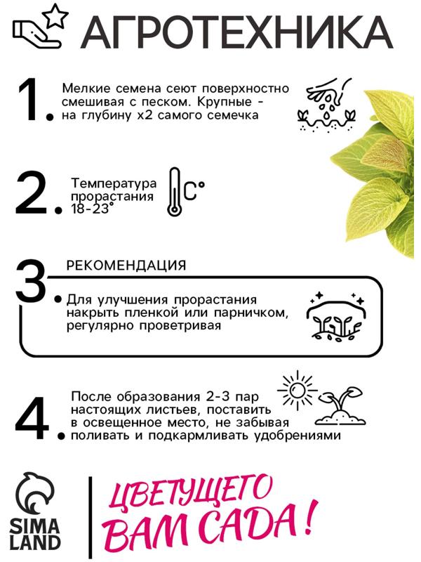 Семена цветов Колеус Визард Жаде, 10шт