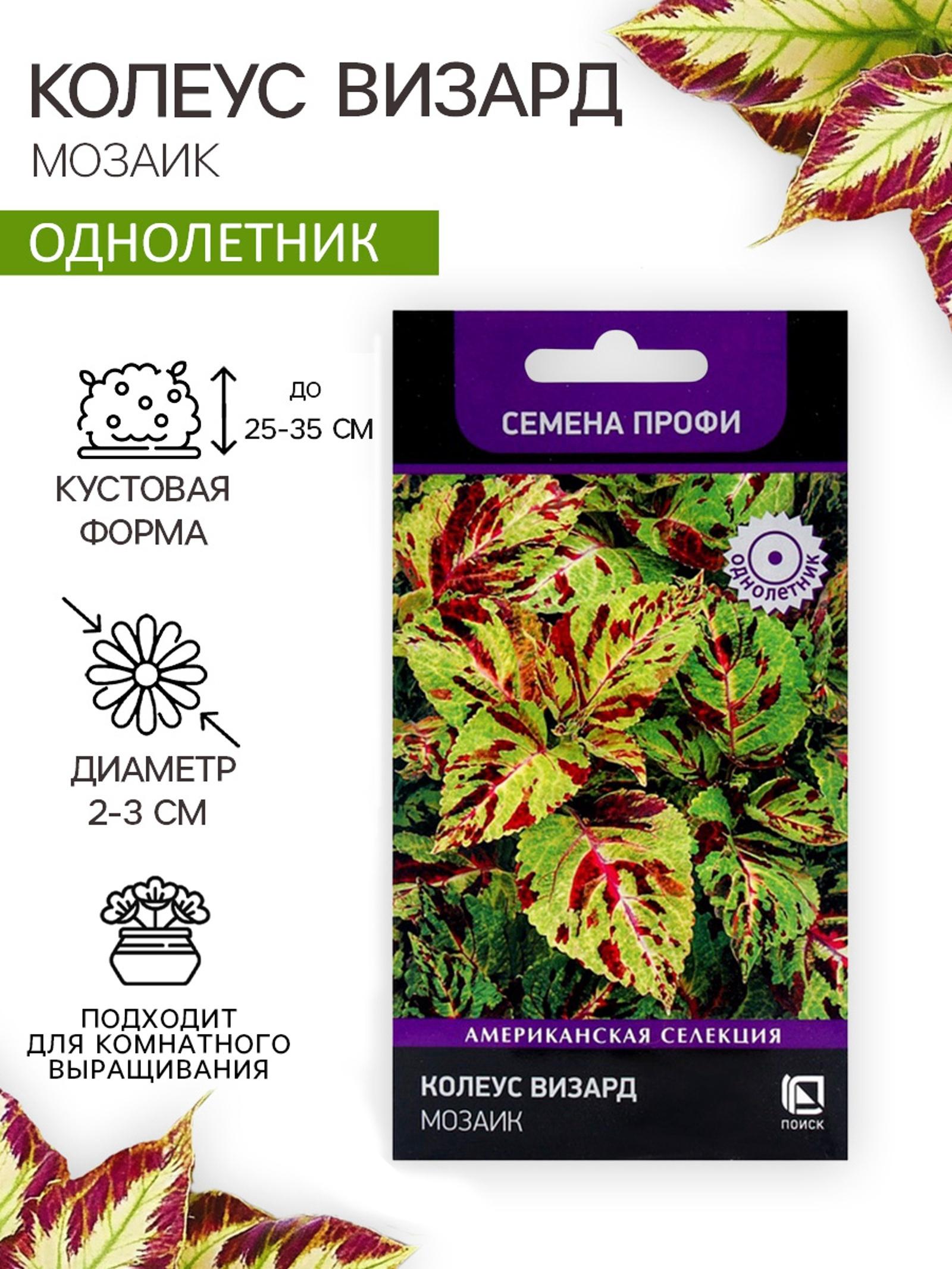 Семена цветов Колеус Визард Мозаик, 10шт