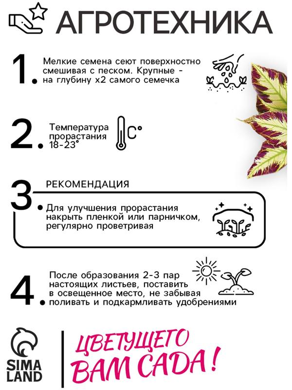 Семена цветов Колеус Визард Мозаик, 10шт