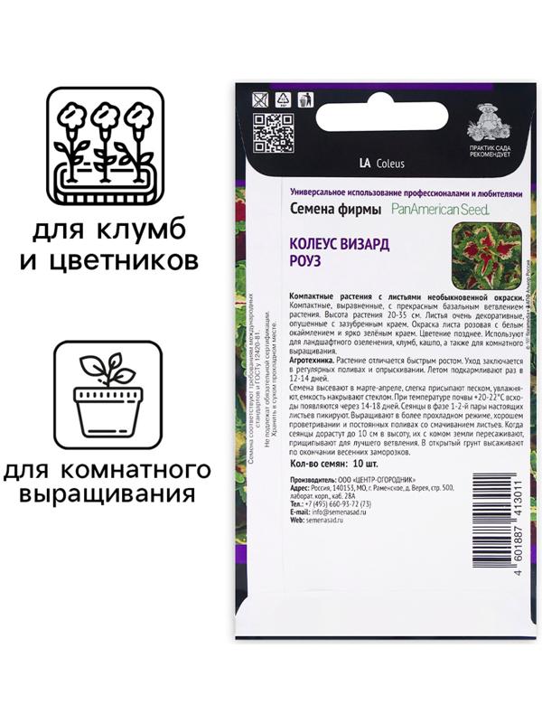 Семена цветов Колеус Визард Роуз, 10шт