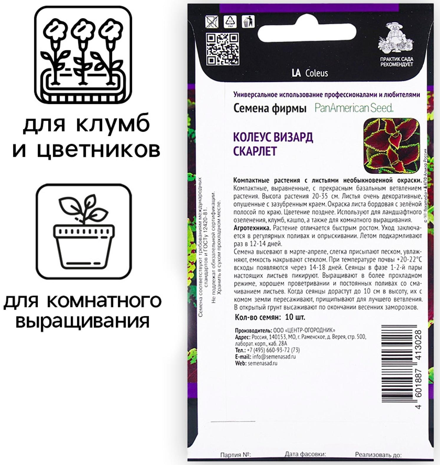 Семена цветов Колеус Визард Скарлет, 10шт