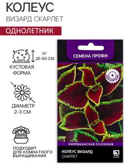 Семена цветов Колеус Визард Скарлет, 10шт