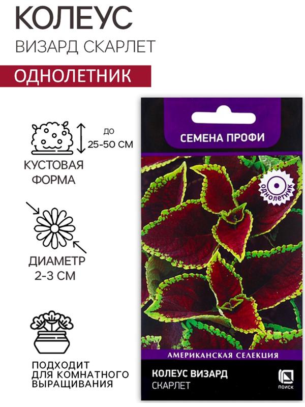 Семена цветов Колеус Визард Скарлет, 10шт
