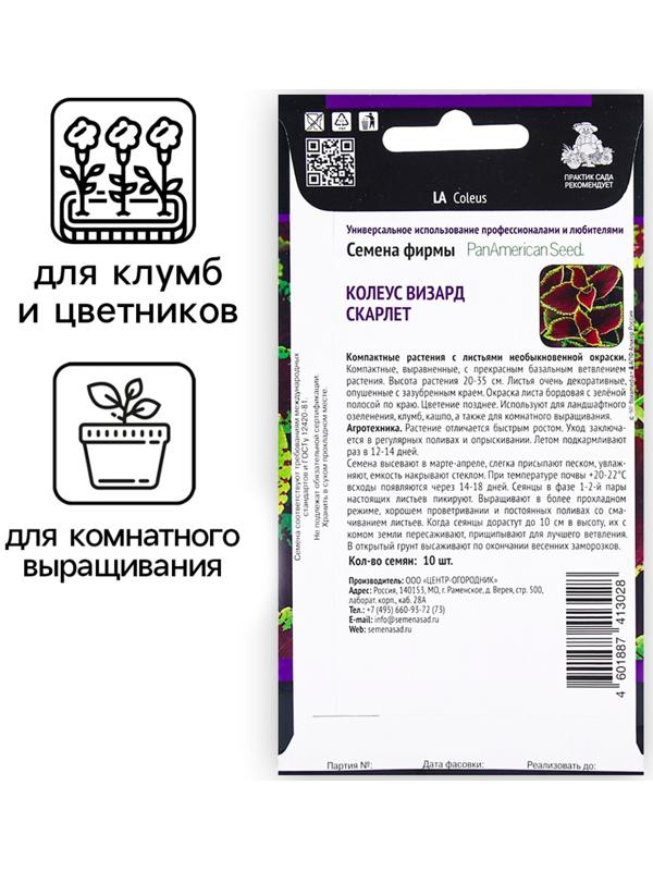 Семена цветов Колеус Визард Скарлет, 10шт