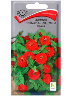 Семена цветов Цинния низкорослая Румба Красная, 0,1гр