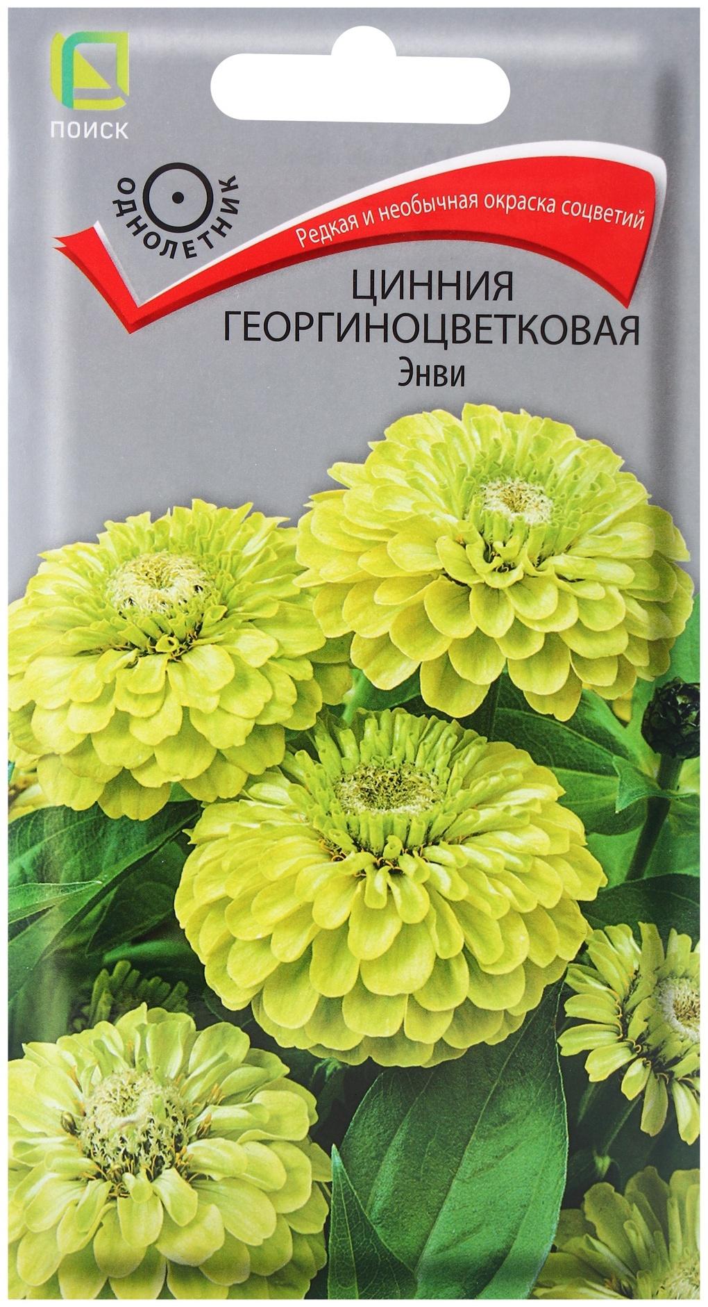 Семена цветов Цинния георгиноцветковая Энви (ЦВ) (