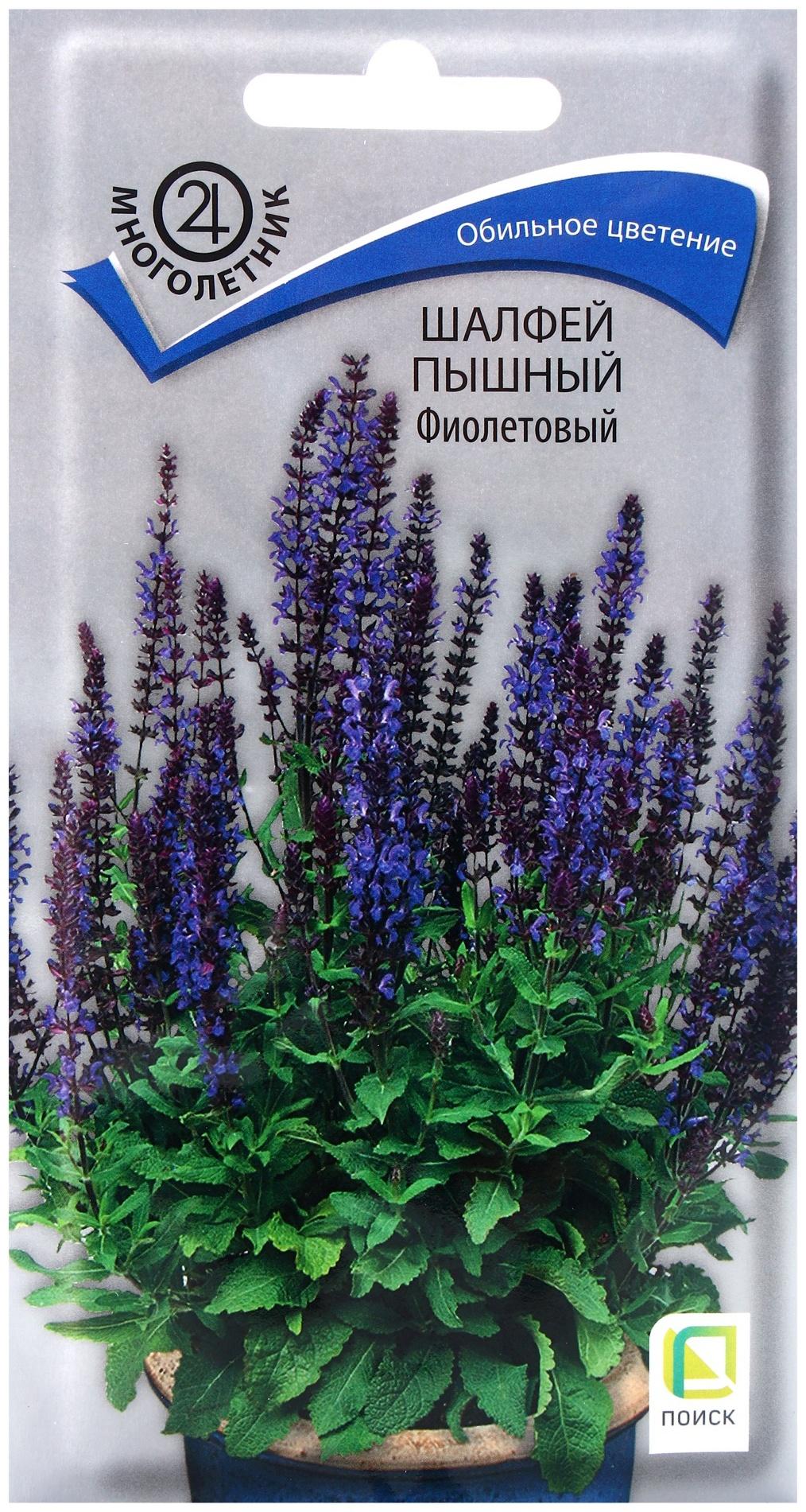 Семена цветов Шалфей пышный Фиолетовый, 0,1гр