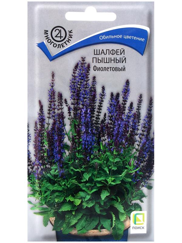 Семена цветов Шалфей пышный Фиолетовый, 0,1гр