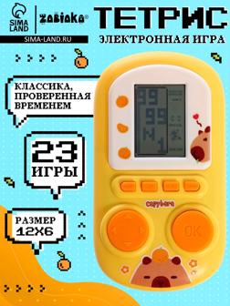 Электронная игра «Капитетрис»