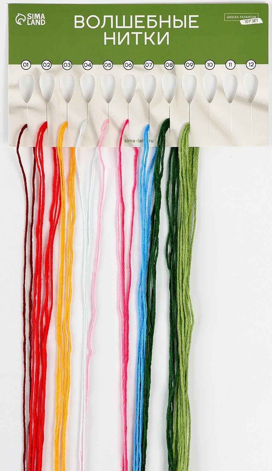 Вышивка гладью на пяльцах «Полевые цветы», 20×20 см