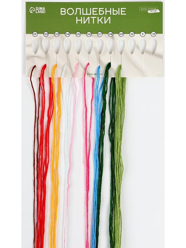 Вышивка гладью на пяльцах «Полевые цветы», 20×20 см