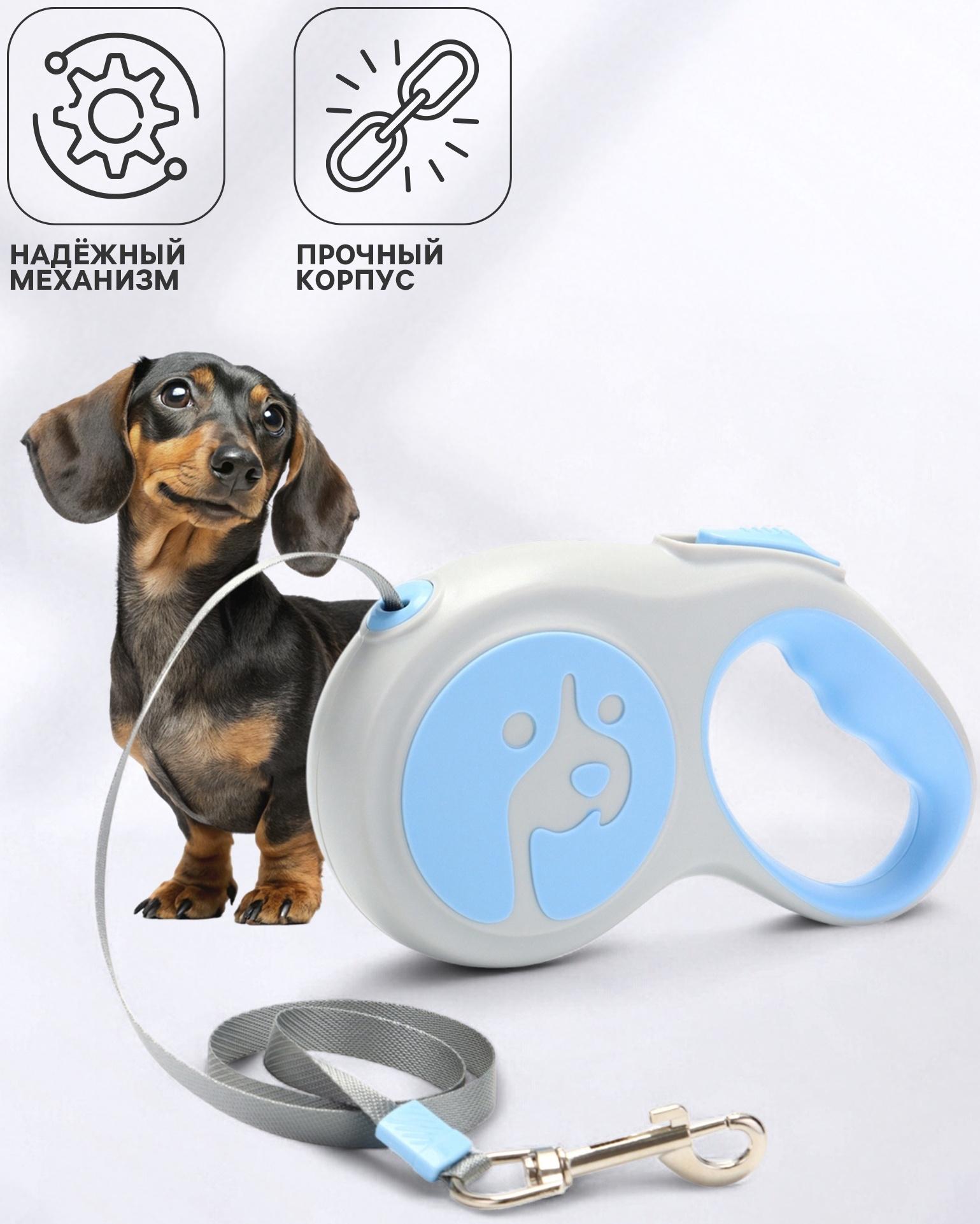 Рулетка - поводок для собак, лента 5 м, голубая