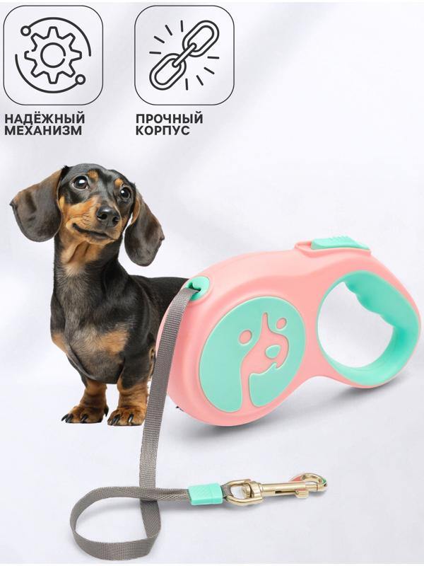 Рулетка - поводок для животных, лента 5 м