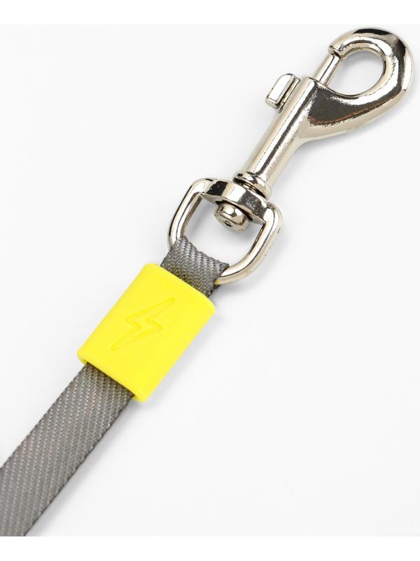 Рулетка - поводок для собак, лента 3 метра, зелёная