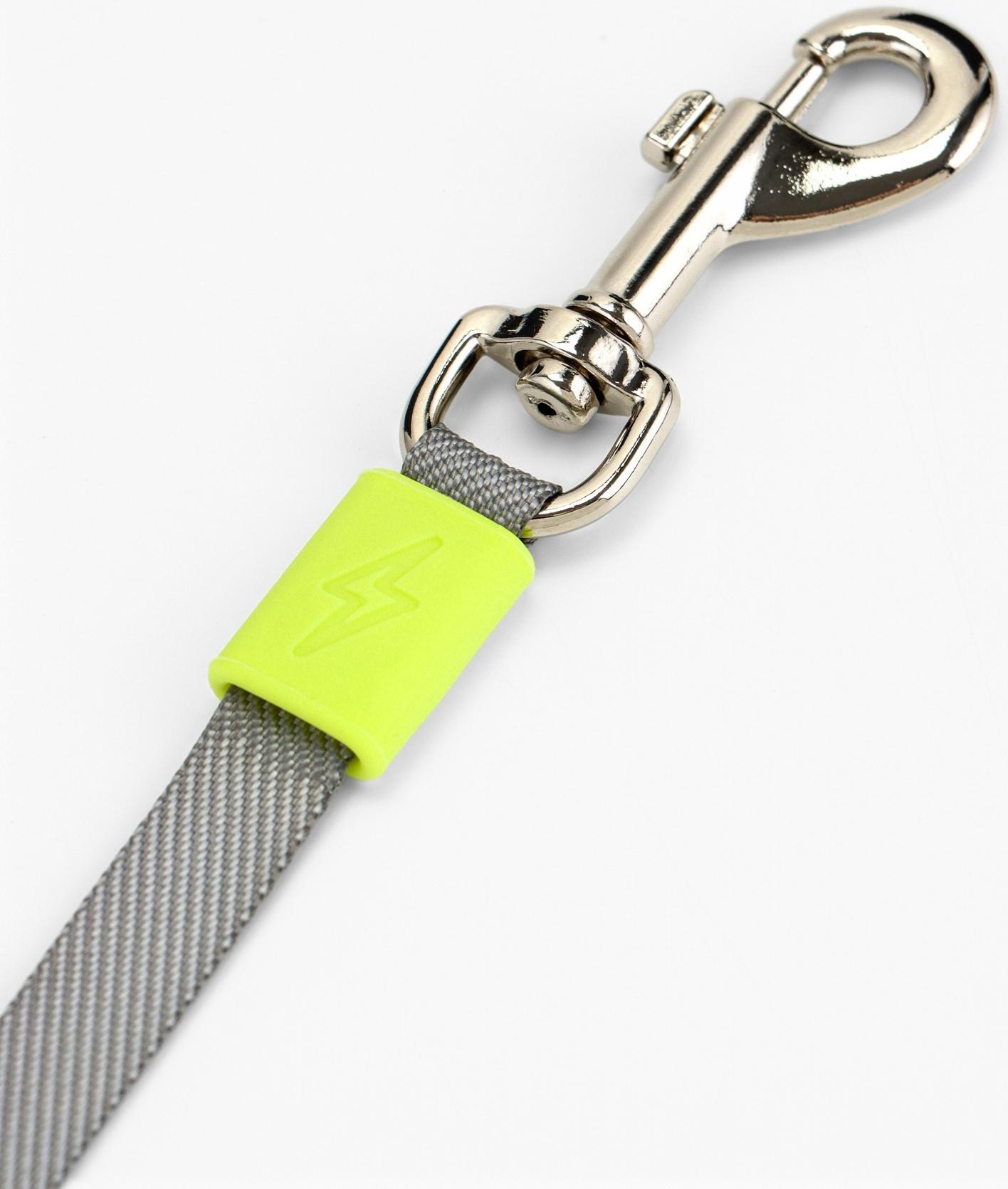 Рулетка - поводок для собак, лента 3 метра, голубая