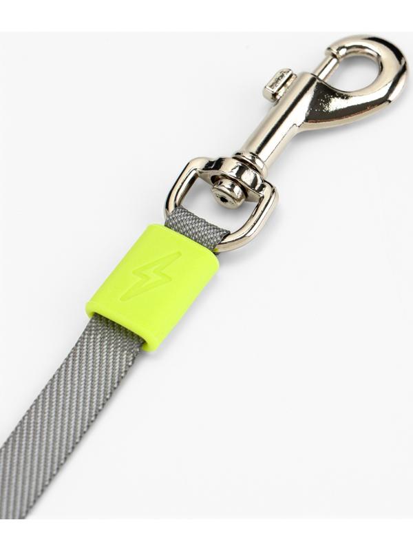 Рулетка - поводок для собак, лента 3 метра, голубая