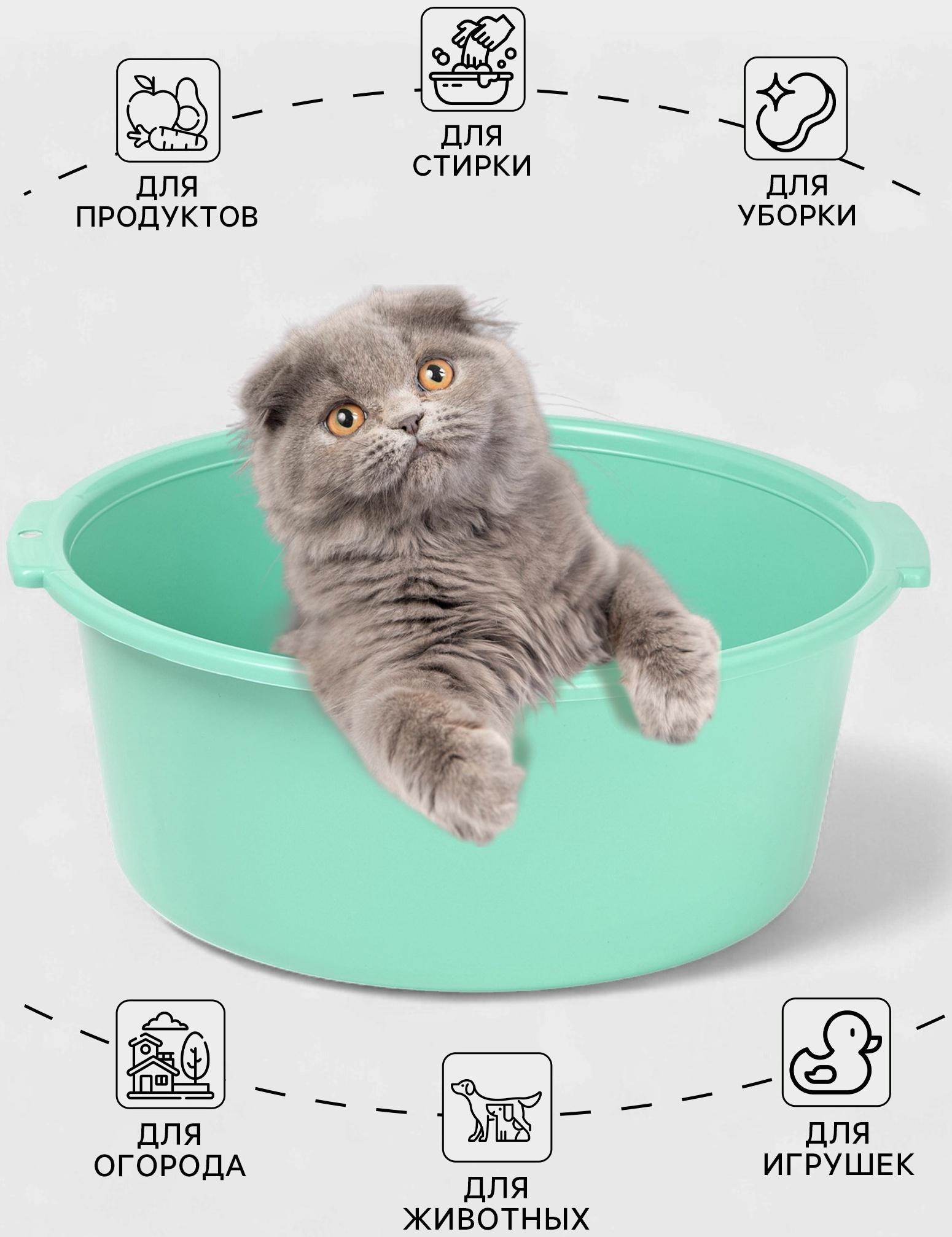 Таз хозяйственный круглый, 10 л, 37×35×14.5 см, мятный