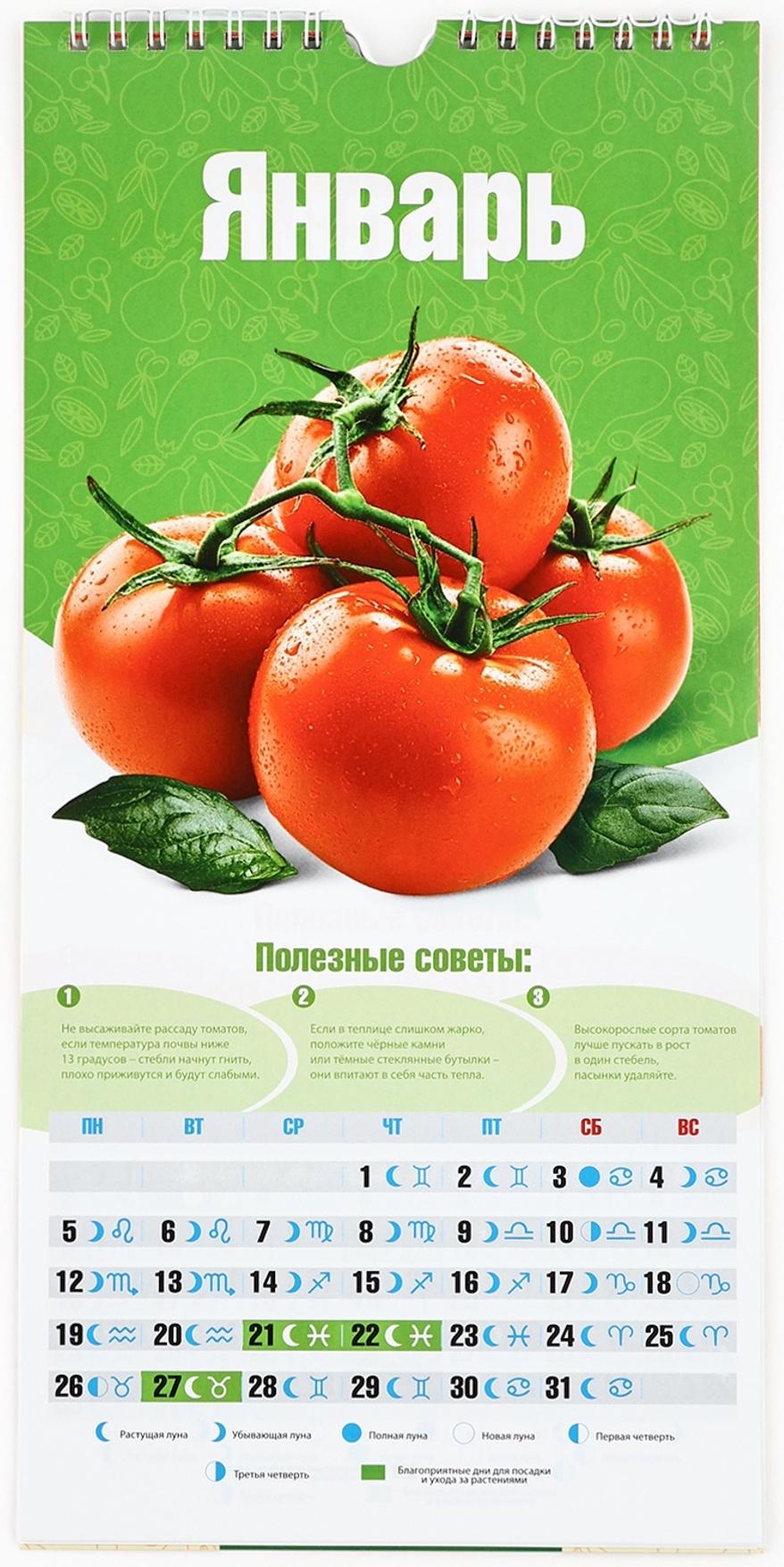 Календарь 2026 на ригеле «Садово-огородный» 16.5×34 см