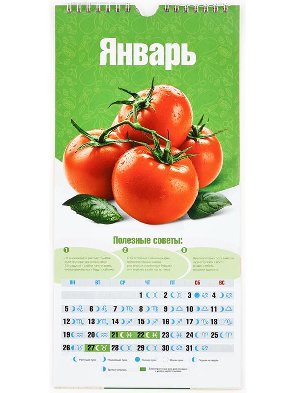 Календарь 2026 на ригеле «Садово-огородный» 16.5×34 см